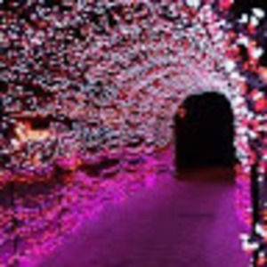 Meet your Posher, Caramia